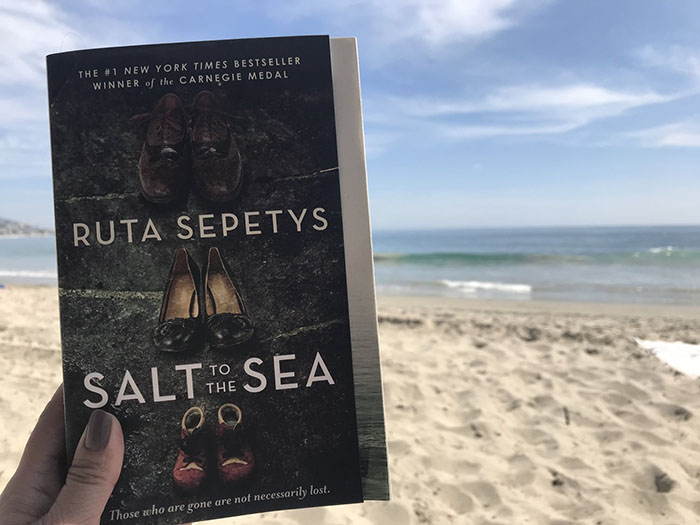 Salt To The Sea Book Review (2)