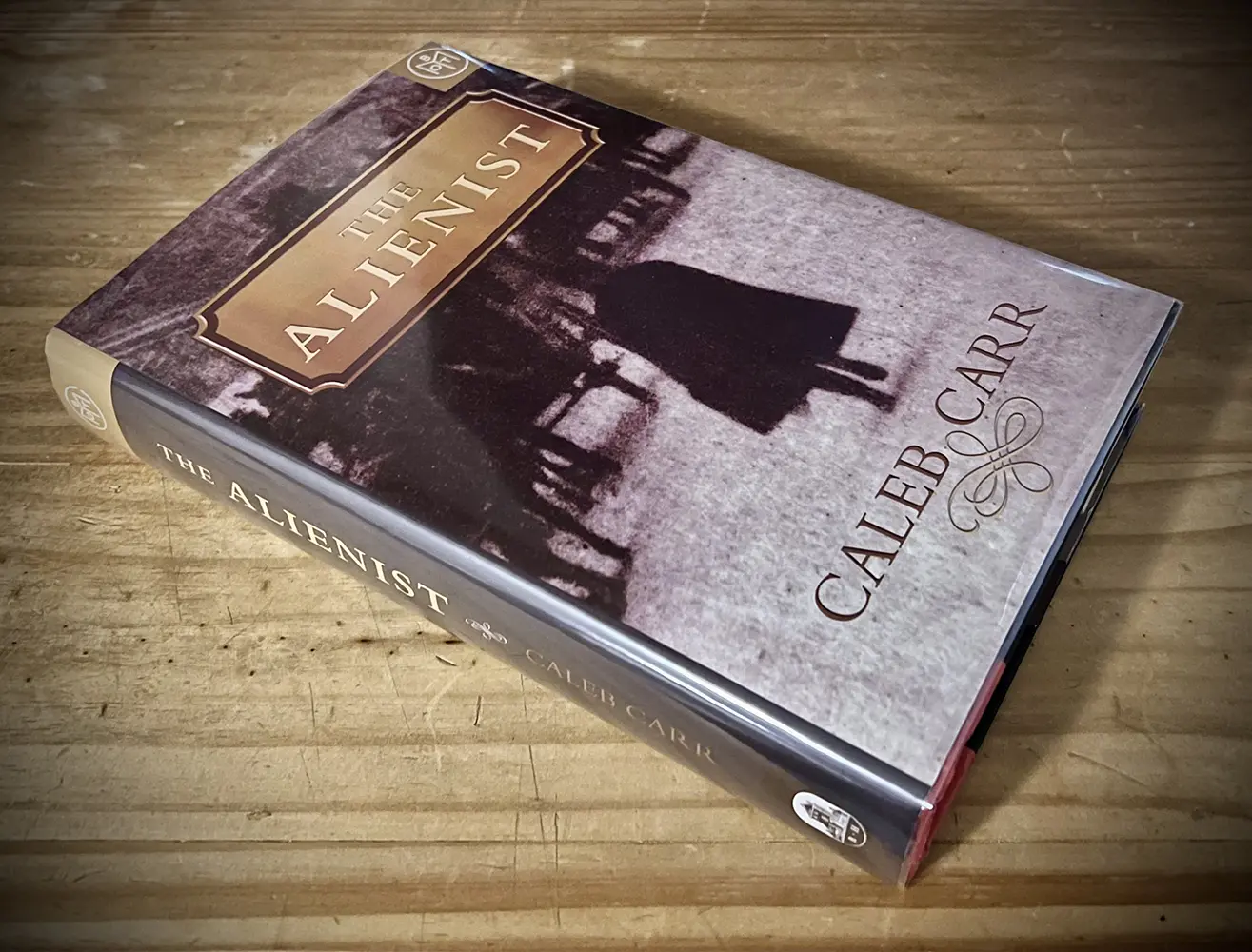 The Alienist by Caleb Carr3